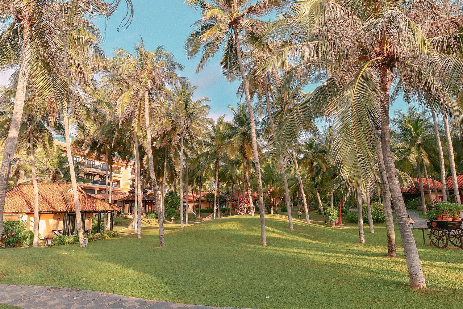 Seahorse Resort & Spa Mũi Né Extérieur photo